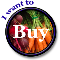 buyer button smaller